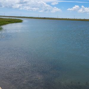 Meet your Posher, Keira